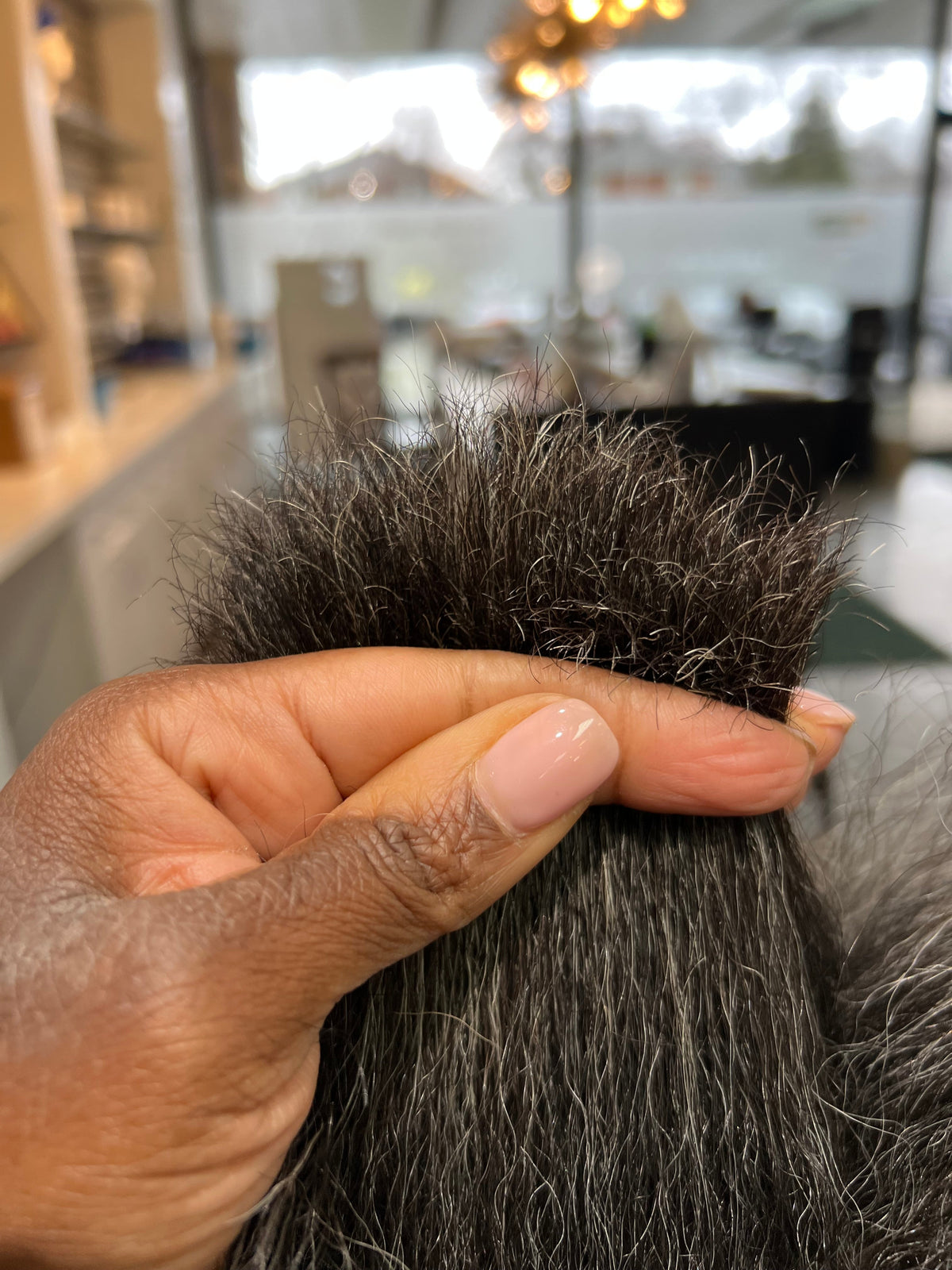 Trims Don’t Stop Growth — They Protect It